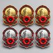 Limited Edition Red Poppy Remembrance Brooch – For All Our Fallen Heroes