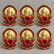 Limited Edition Red Poppy Remembrance Brooch – For All Our Fallen Heroes