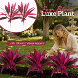 📢📢LAST DAY SALE 50% OFF🏡EverBloom Luxe Plant - Artificial Ti Plant🌿