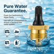 2-Pcs Brass RV Blow Out Plugs with Drain Valve
