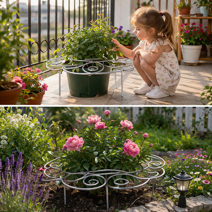 50% OFF – Plant Support