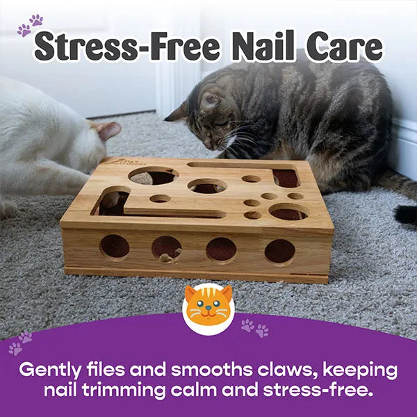 Now 49%OFF 🎁Cat Scratch Puzzle Enrichment Box: Stress Free Alternative to Clippers and Grinders