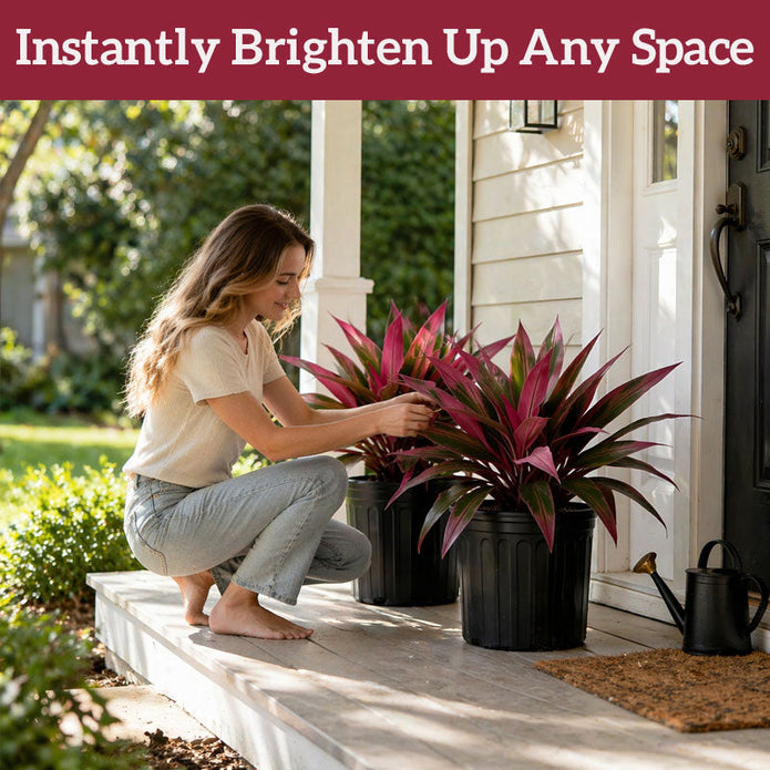 50% OFF – EverBloom Luxe Artificial Ti Plant