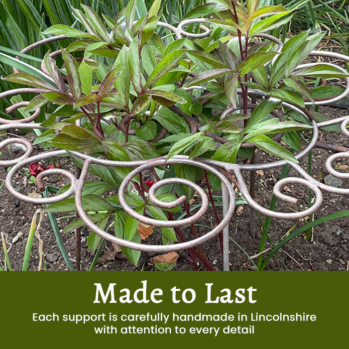 50% OFF – Plant Support