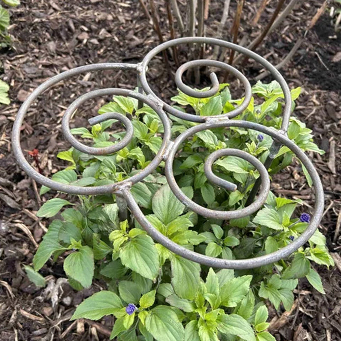 50% OFF – Plant Support