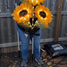 🔥Hot Sale 49% off🌟🌻 Solar Powered LED Sunflower Garden Lights Set