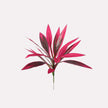 📢📢LAST DAY SALE 50% OFF🏡EverBloom Luxe Plant - Artificial Ti Plant🌿