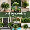 💛Glowing Boston Ferns with Lights – 🌿 Zero Watering, Zero Maintenance