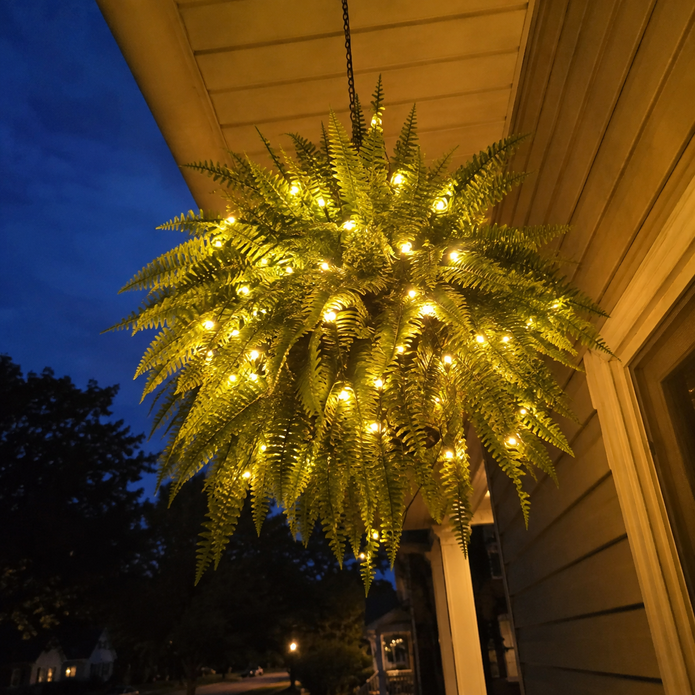 💛 Felci di Boston luminose con luci – 🌿 Zero innaffiature, zero manutenzione