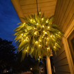 💛Glowing Boston Ferns with Lights – 🌿 Zero Watering, Zero Maintenance