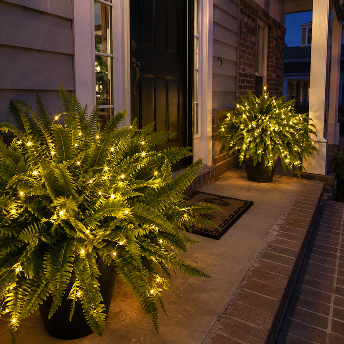 💛 Felci di Boston luminose con luci – 🌿 Zero innaffiature, zero manutenzione