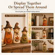 🔥Halloween Promotion - Hand-Carved Vintage Scarecrow Fall Decor Set